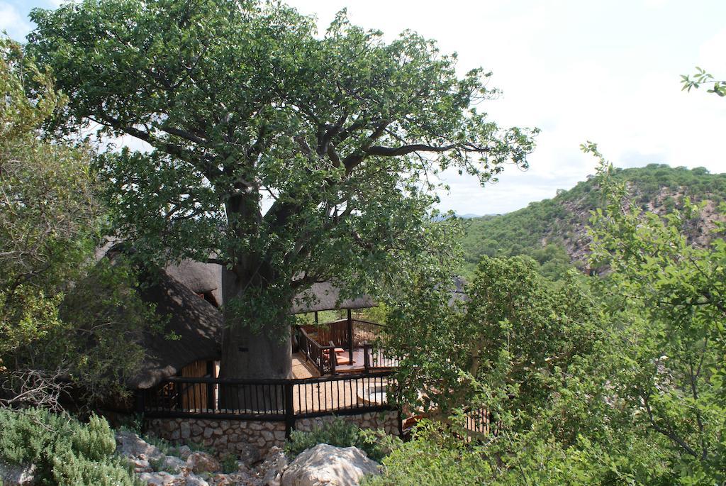 Adansonia Eco Lodge Musina Exterior photo