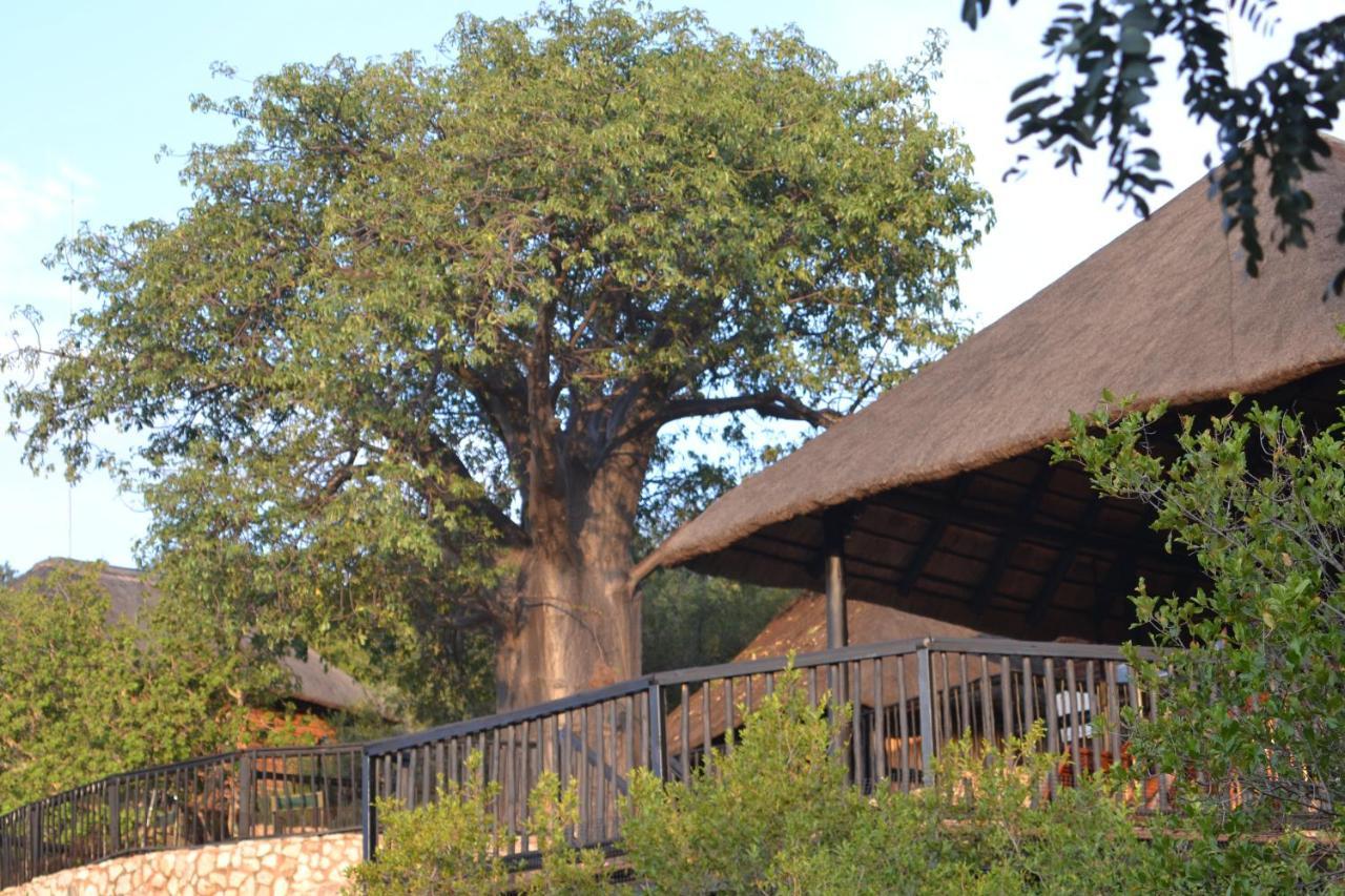 Adansonia Eco Lodge Musina Exterior photo